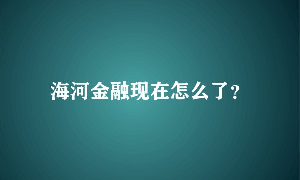 海河金融现在怎么了？