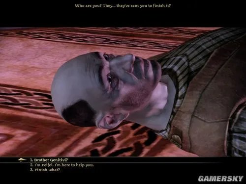 《龙腾世纪:起源》详细图文流程攻略