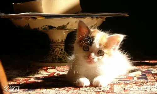 2020年云南高考成绩查询和高考录取分数线公布汇总