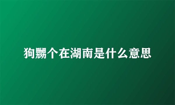 狗嬲个在湖南是什么意思