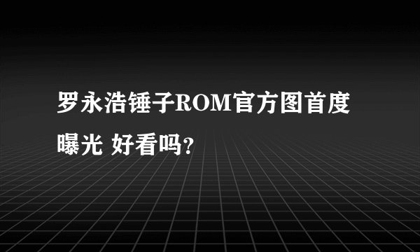 罗永浩锤子ROM官方图首度曝光 好看吗？