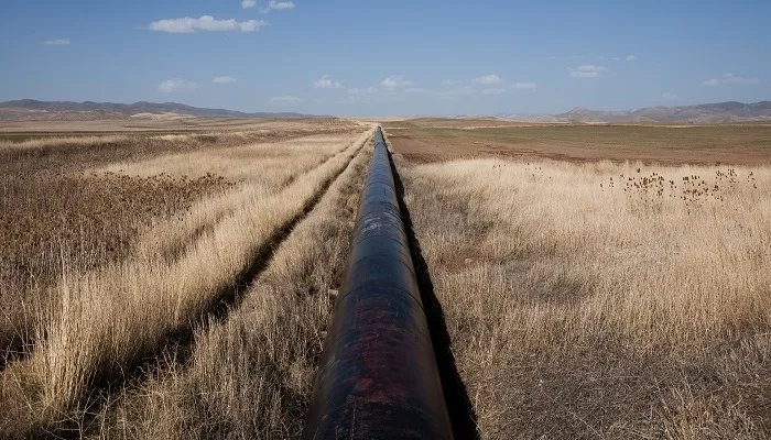 不可再生资源有哪些 地球不可再生资源有哪些