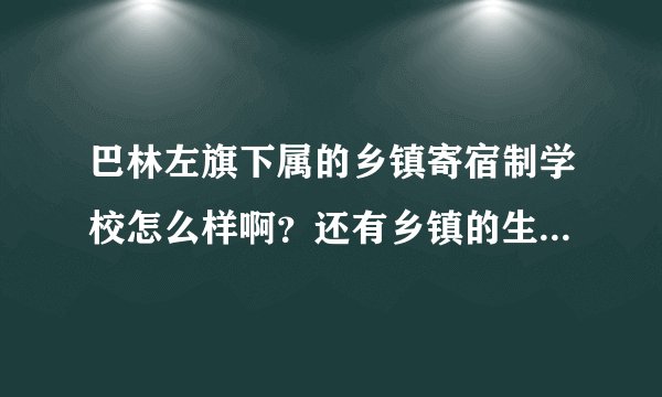 巴林左旗下属的乡镇寄宿制学校怎么样啊？还有乡镇的生活水平怎样？谢谢