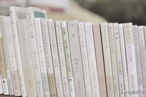 体面吉他简单谱凡人歌