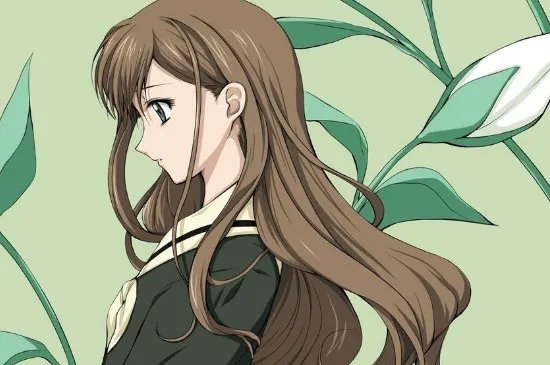 莉莉安象征着什么