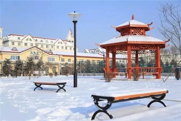 哈尔滨的十大怪都是什么