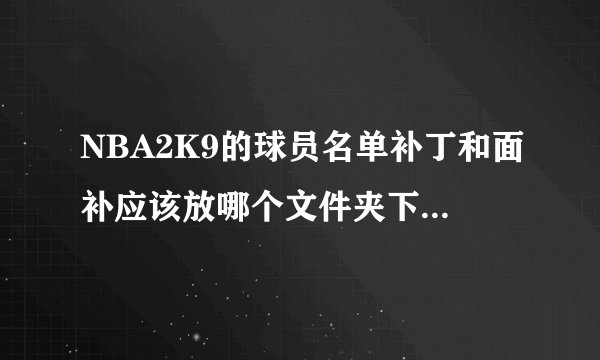 NBA2K9的球员名单补丁和面补应该放哪个文件夹下？怎样读取？