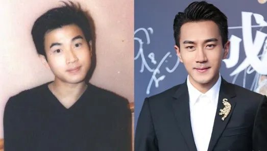 谁说男星不整容?这几位整容多次却看不出来,是哪几位?