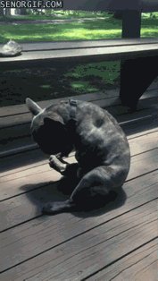 让人不能淡定的囧图赏 总会有眼尖的同学看出亮点