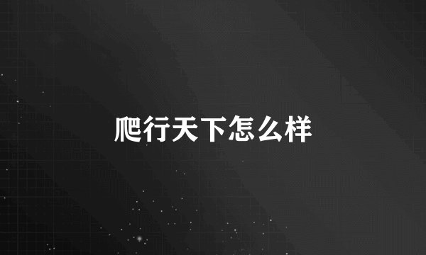 爬行天下怎么样