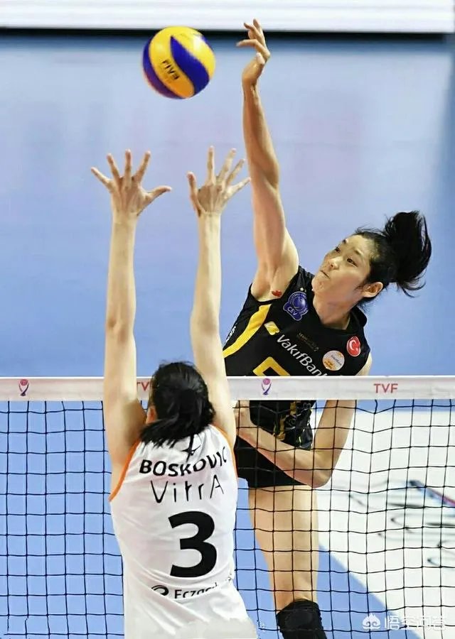 朱婷回国后，会加入哪家排球俱乐部？