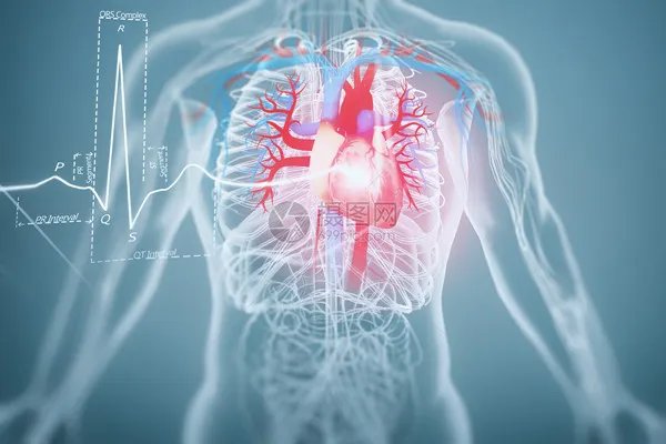 绿茶的功效和作用