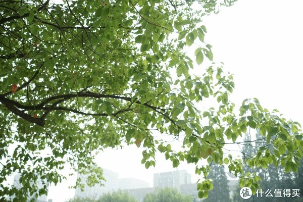 美能达镜头推荐