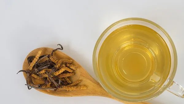 红花的功效与作用  哪些人适合红花？