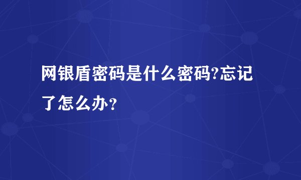 网银盾密码是什么密码?忘记了怎么办？
