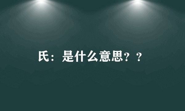 氏：是什么意思？？