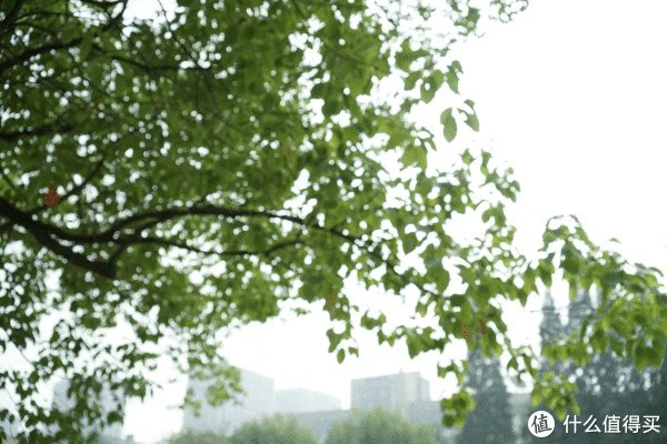 美能达镜头推荐