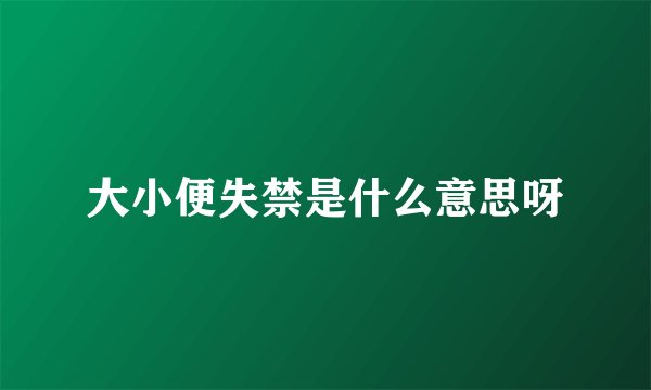 大小便失禁是什么意思呀
