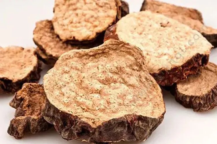 肉苁蓉图片大全大图