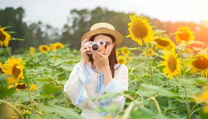 巨蟹座什么时候生日 巨蟹座日期划分是几月到几月