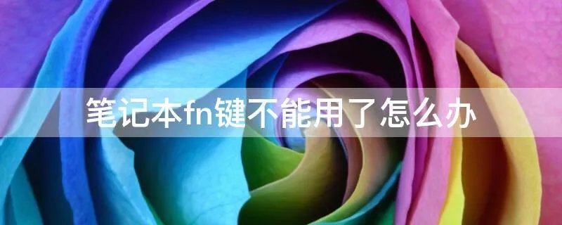 笔记本fn键不能用了怎么办