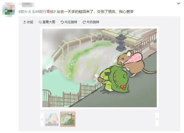 天天都在苦等照片 蛙儿子为何深得人心