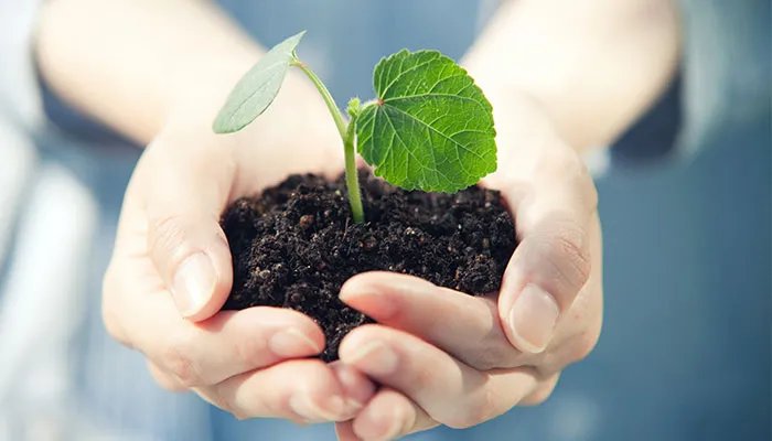 世界地球日是每年的哪一天