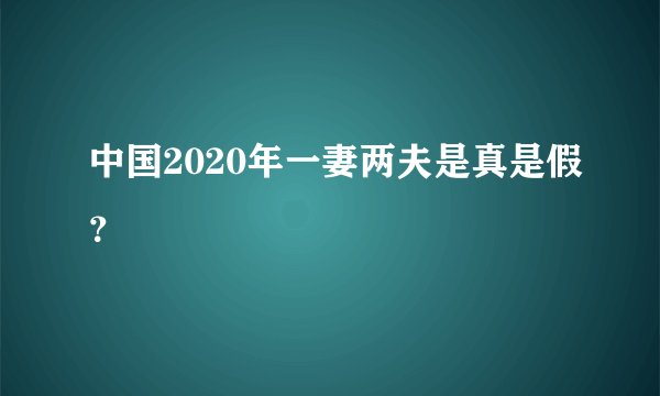 中国2020年一妻两夫是真是假？