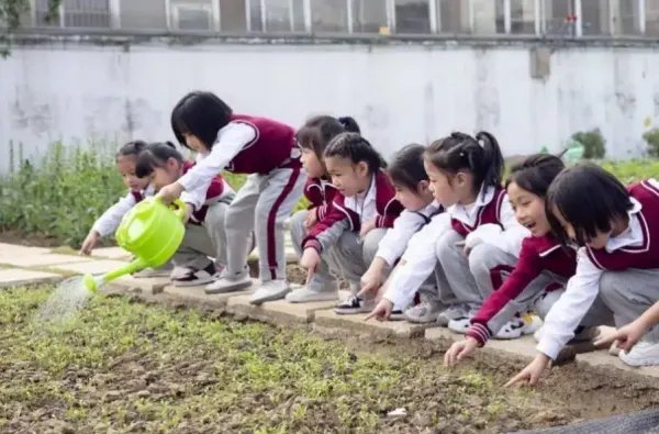 9月新学期，劳动课正式“升级”为中小学的独立课程，此举能解决哪些问题？