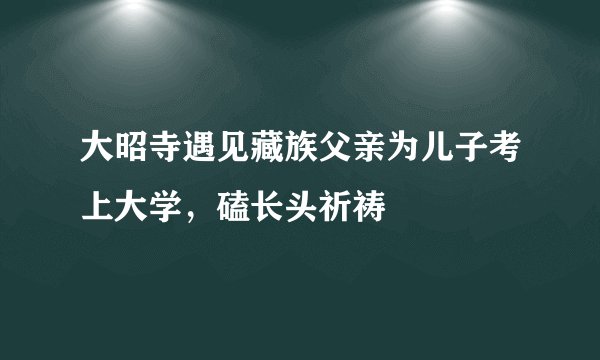 大昭寺遇见藏族父亲为儿子考上大学，磕长头祈祷