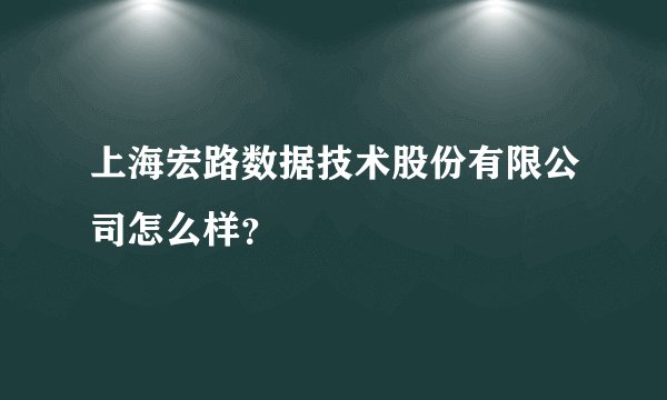 上海宏路数据技术股份有限公司怎么样？