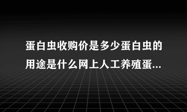 蛋白虫收购价是多少蛋白虫的用途是什么网上人工养殖蛋白虫贵真的吗？