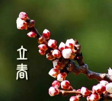 2019年什么时候立春？