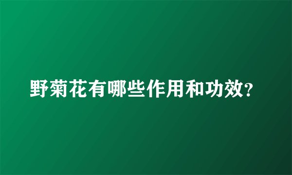 野菊花有哪些作用和功效？