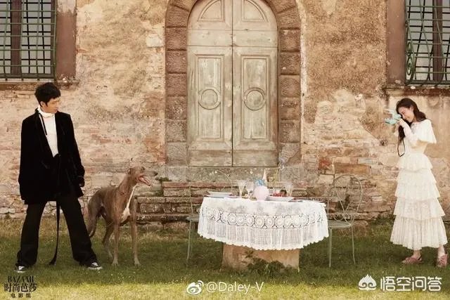 如何看待井柏然和倪妮的恋情？