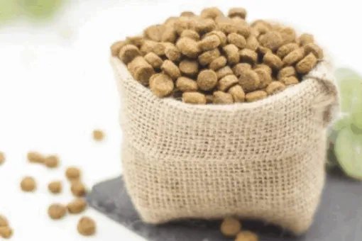 最好的猫粮是什么牌子？