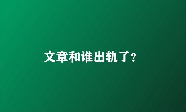 文章和谁出轨了？