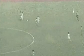 室友说宿茂臻很厉害，有谁能科普一下吗？