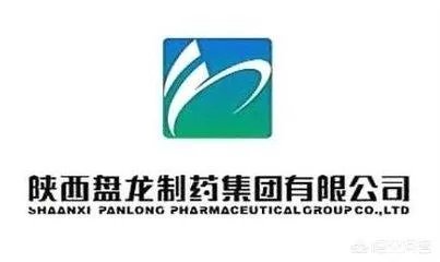 盘龙药业这个公司怎么样?