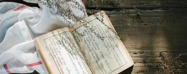 元次等术语是谁创造的