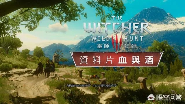 你最喜欢的一款大型角色扮演游戏是什么？