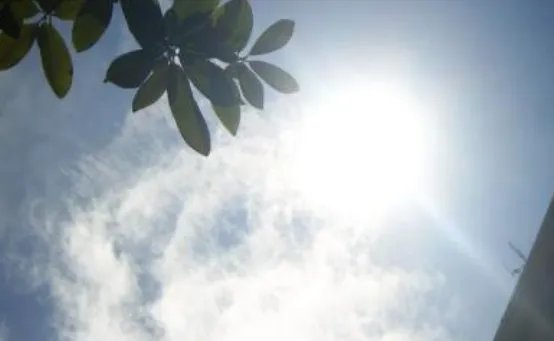 “史上最热夏天”是哪一天？这天究竟有多热？