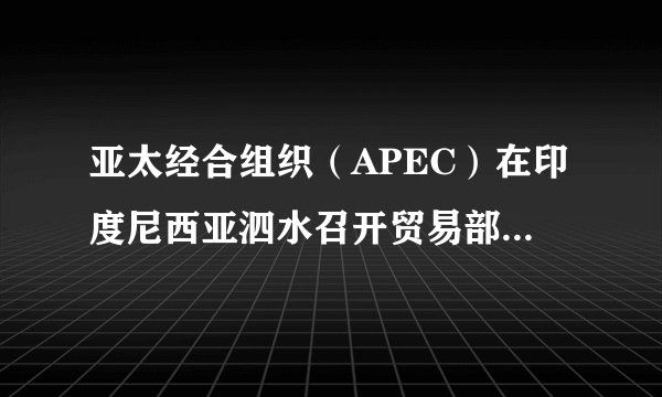 亚太经合组织（APEC）在印度尼西亚泗水召开贸易部长会议，会上贸易部长们同意成员经济体国间分享信息，并承诺到2016年将关税削减到5%或以下。这说明亚太经合组织（   ）A.将建立统一的亚太区域市场体系B.把对抗欧盟作为该组织的重要任务C.将进一步推动区域内部自由贸易D.将会完全消除各国间的矛盾和冲突