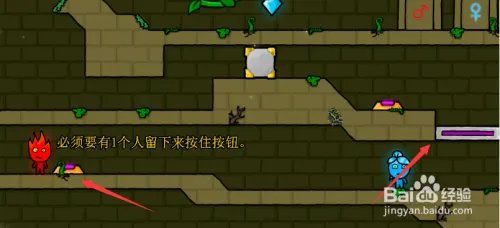 森林冰火人怎么玩？