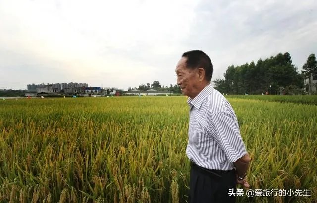 为何袁隆平院士去世会有那么多人不舍，甚至痛哭送别？