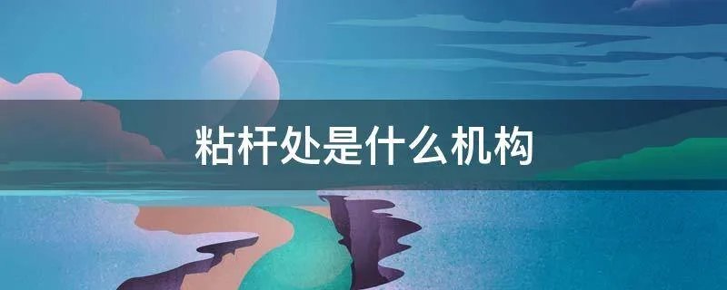 粘杆处是什么机构