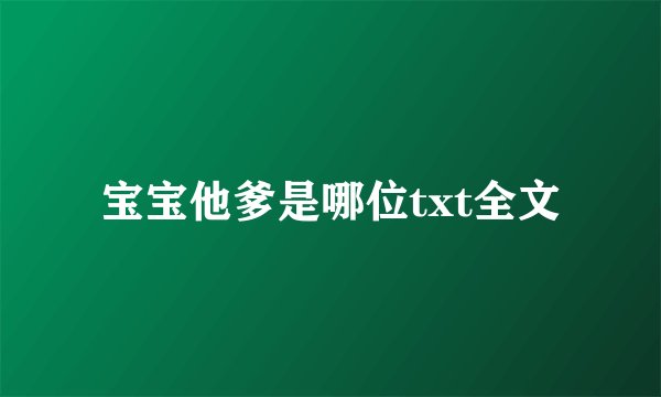 宝宝他爹是哪位txt全文
