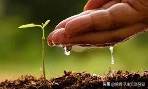 从蒙昧到觉醒,家长家庭教育之路要走多长?