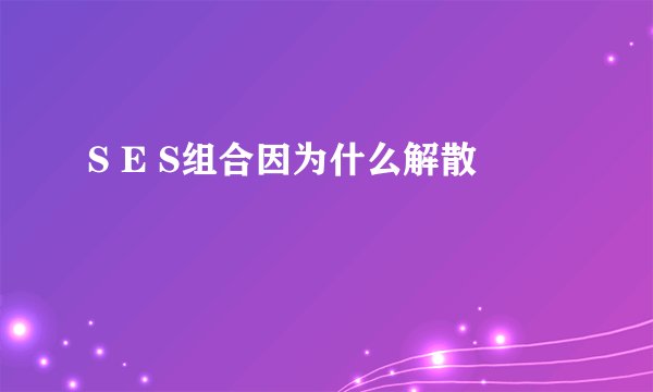 S E S组合因为什么解散