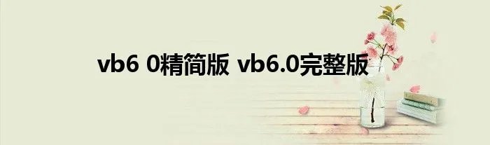 vb6 0精简版 vb6.0完整版
